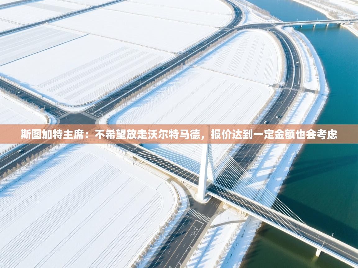 斯图加特主席:不希望放走沃尔特马德,报价达到一定金额也会考虑 第2张