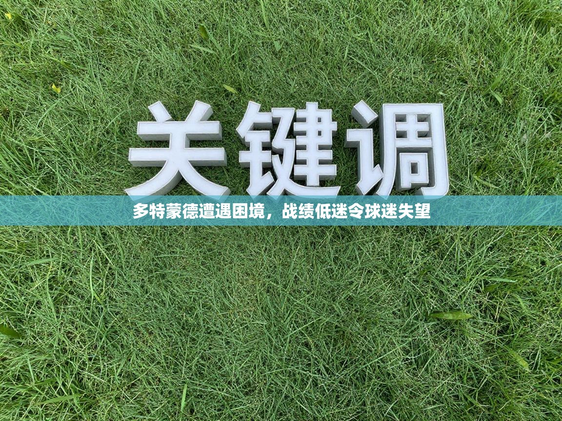 多特蒙德遭遇困境,战绩低迷令球迷失望 第1张