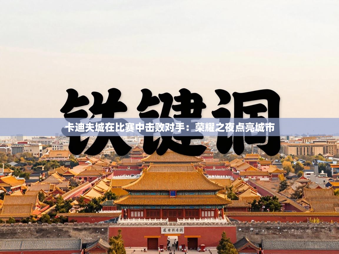 卡迪夫城在比赛中击败对手：荣耀之夜点亮城市  第2张