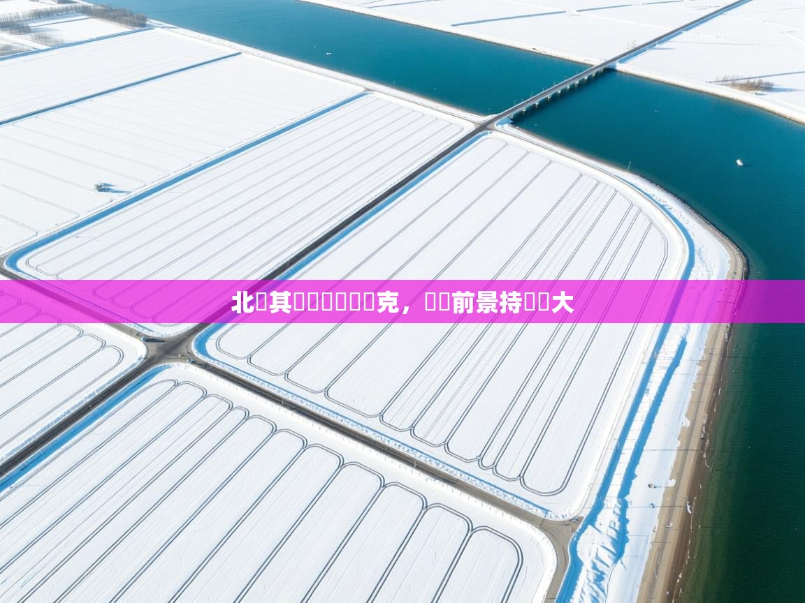 北馬其頓擊敗烏茲別克，晉級前景持續擴大  第1张